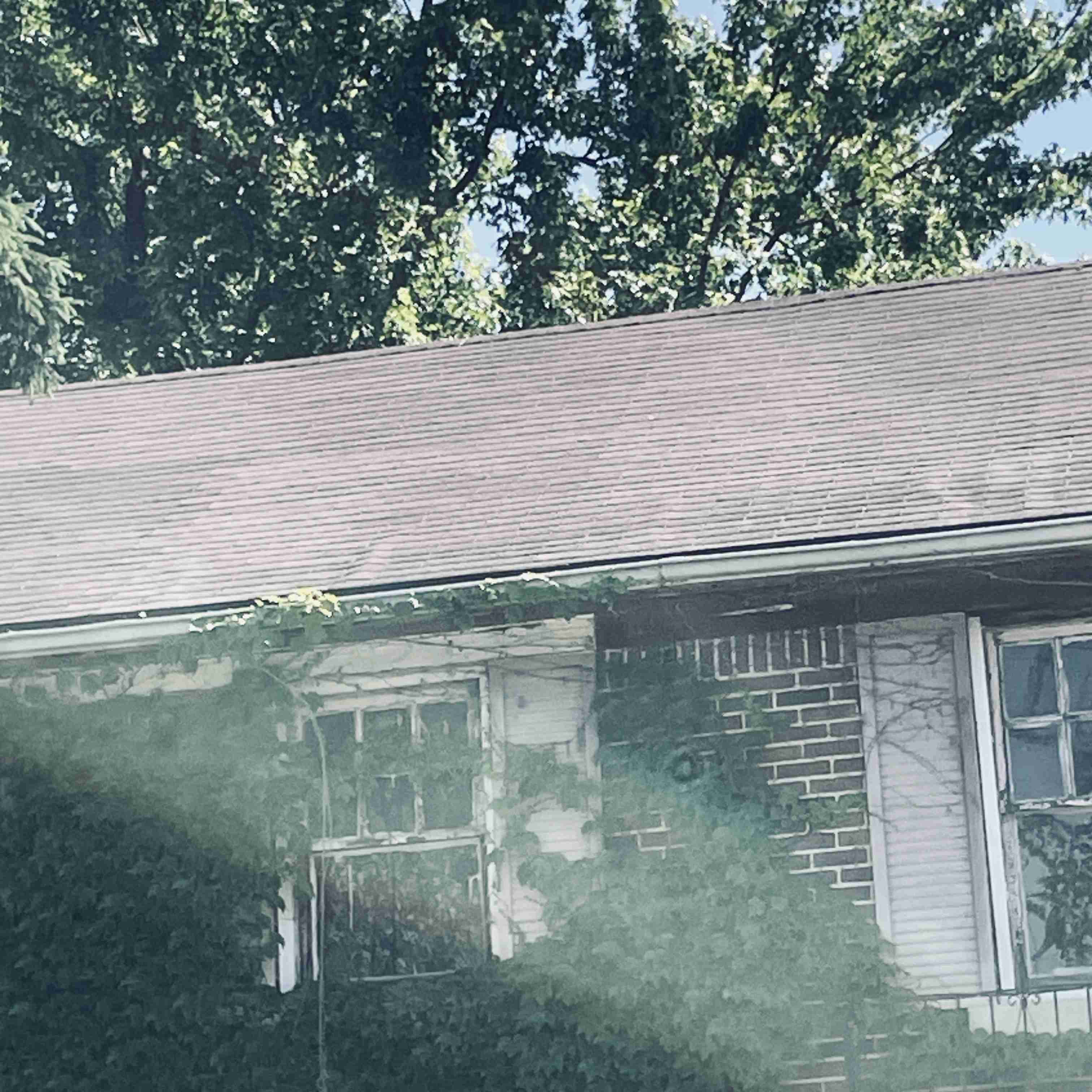 14910 Robson (4).jpg